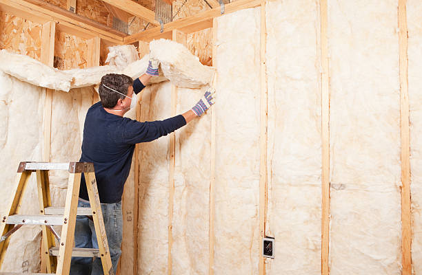 Best Soundproof Insulation  in Elizabeth, NJ